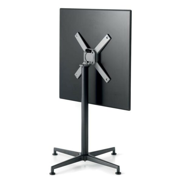 Vega - obrazek 4